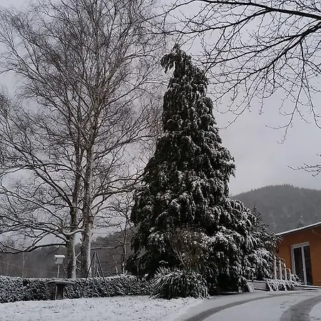 Le Wineck Villa Dambach Exterior photo