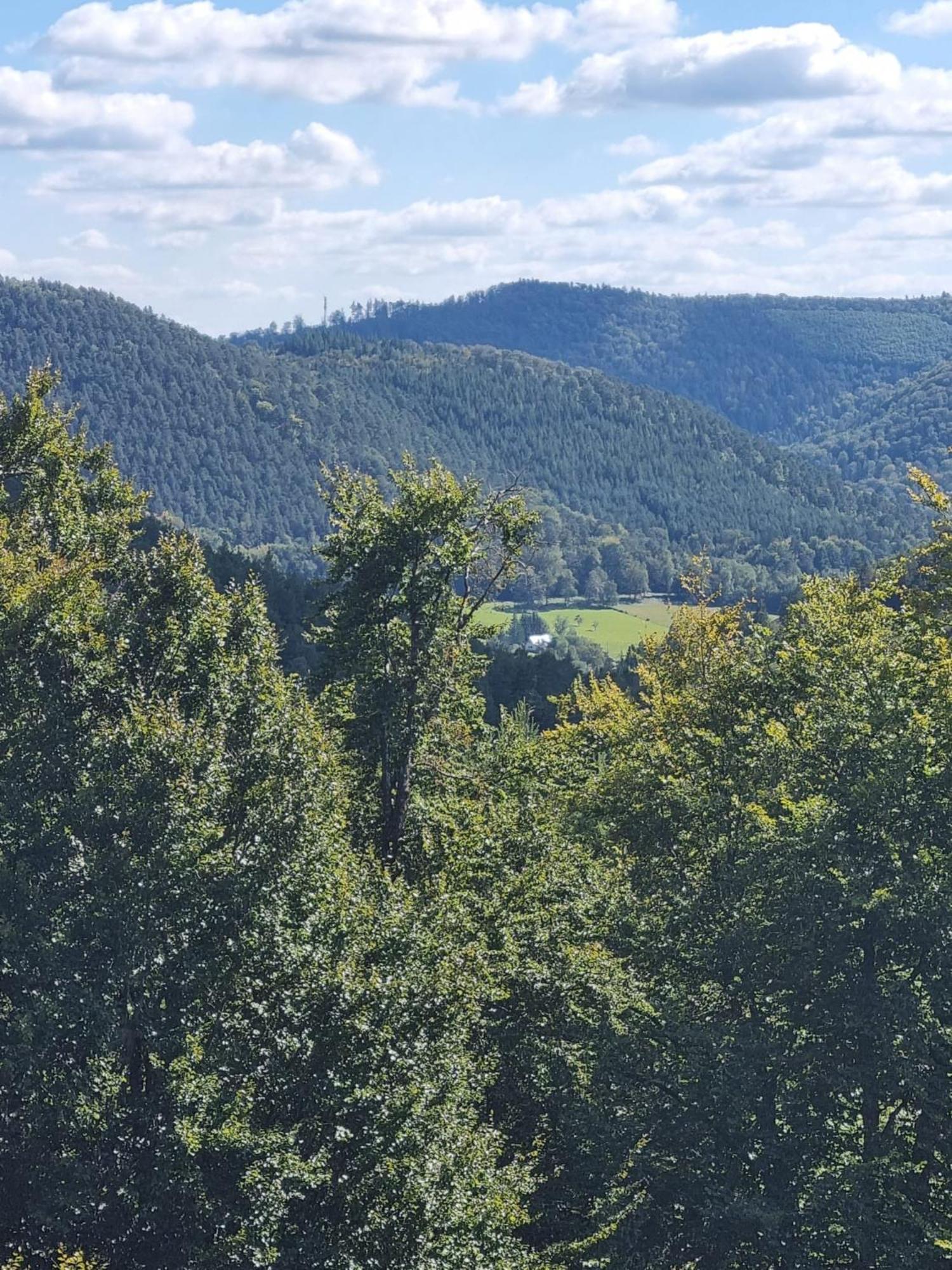 Le Wineck