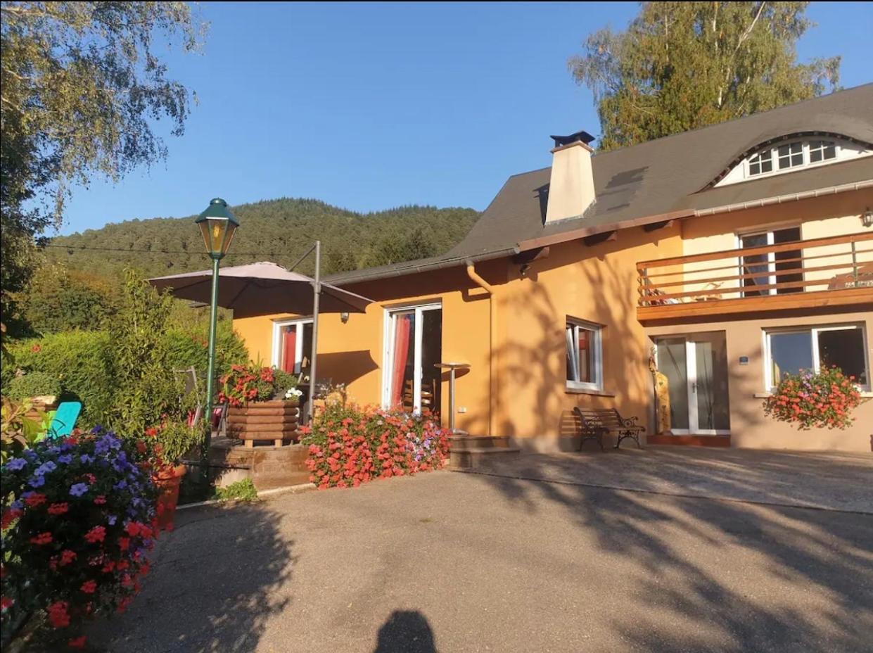 Le Wineck Holiday home Dambach