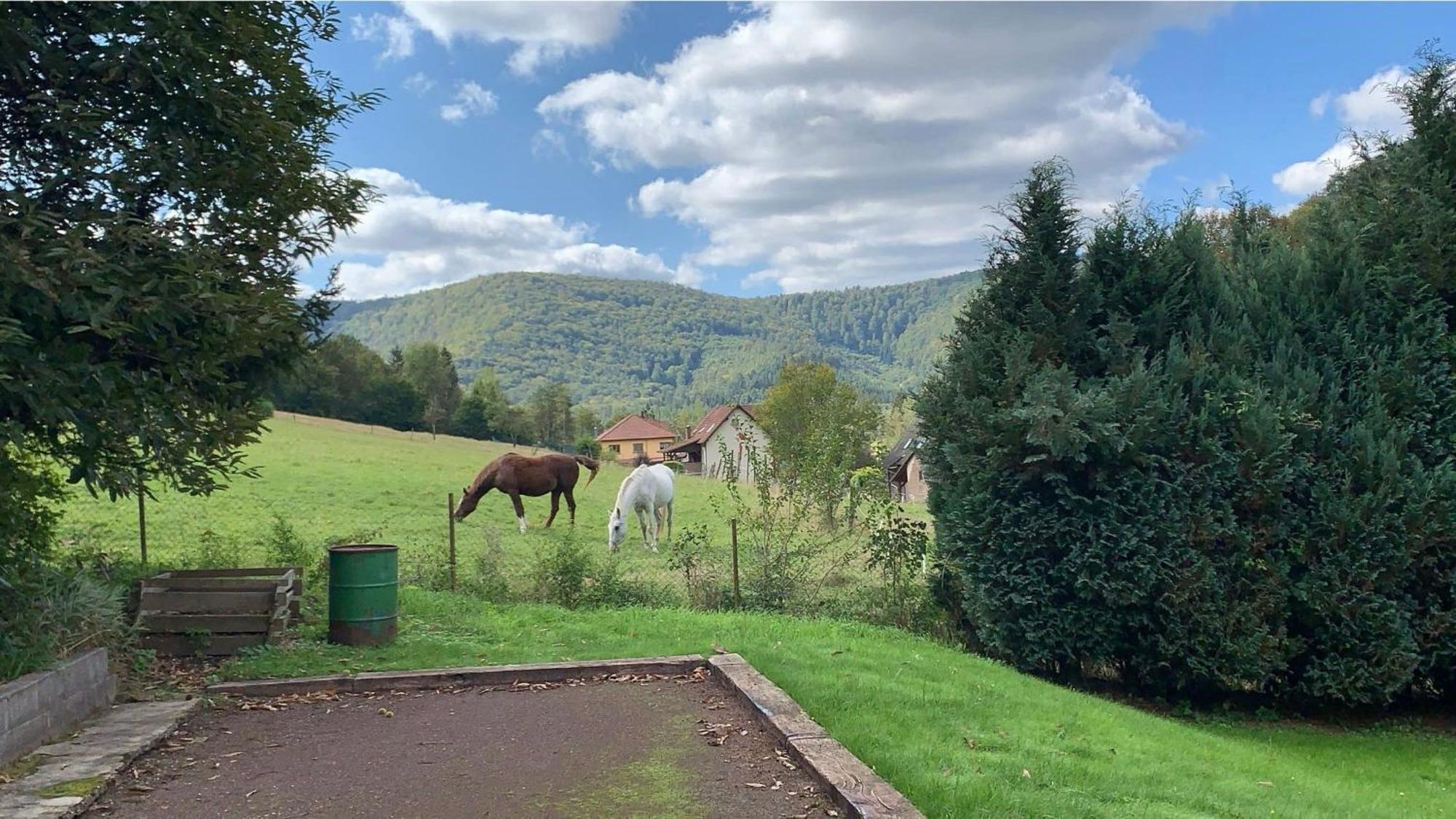 Holiday home Le Wineck Dambach