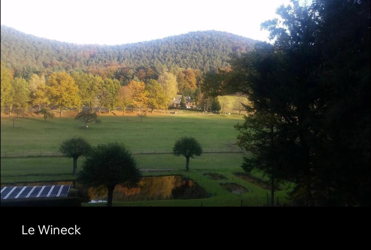 Le Wineck * Dambach