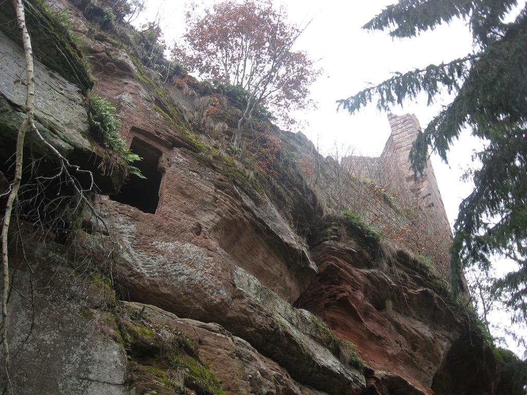 Casa vacanze Le Wineck Dambach