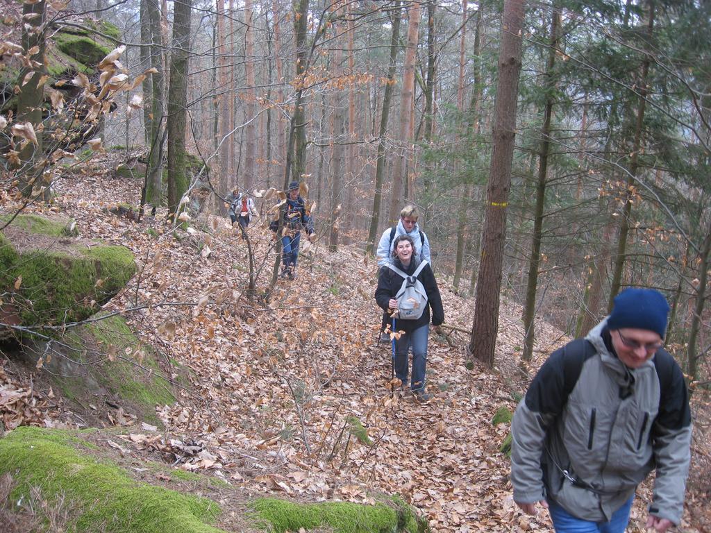 Le Wineck * Dambach
