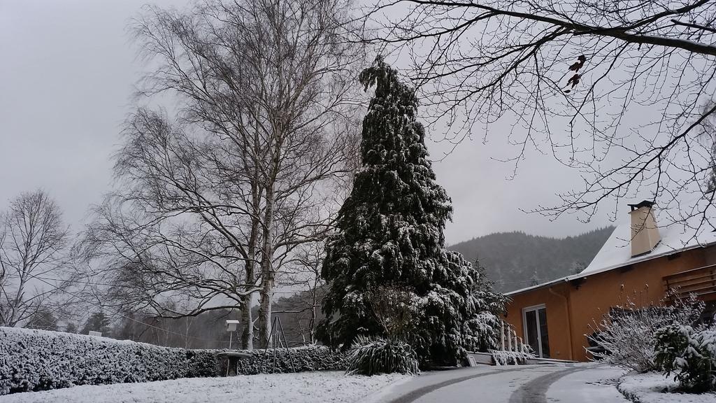 Le Wineck Holiday home